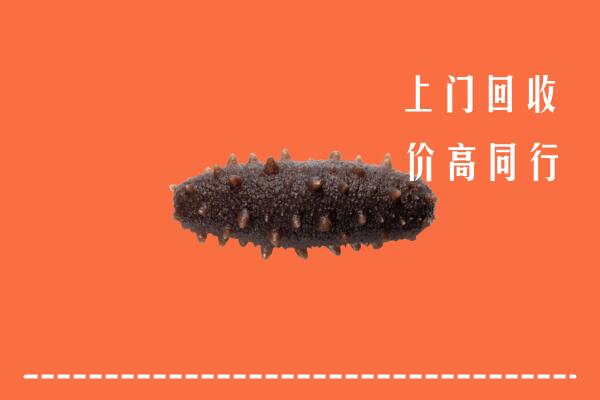 黄山高价回收海参